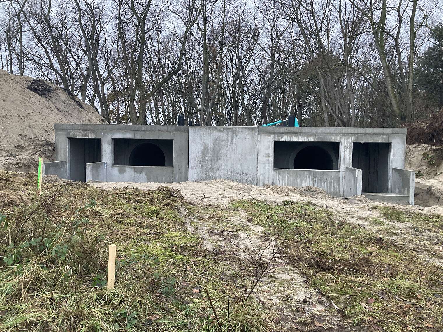 FEBE elements awards 2023