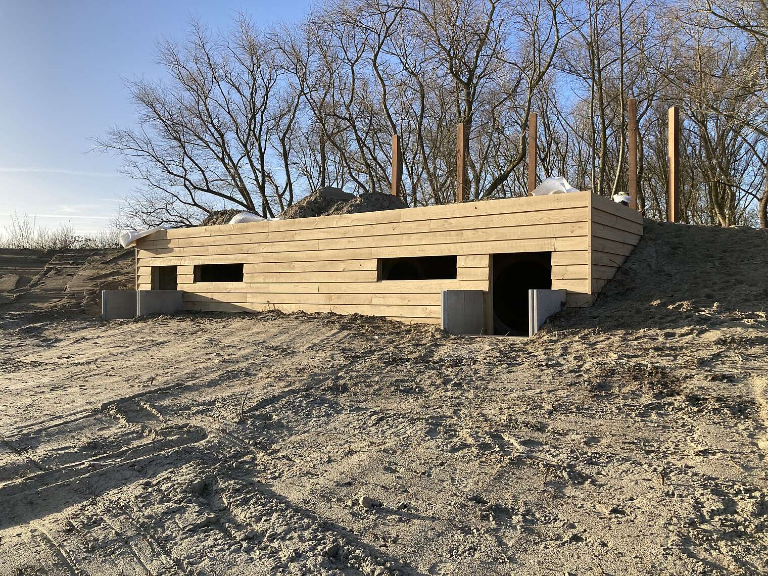 FEBE elements awards 2023